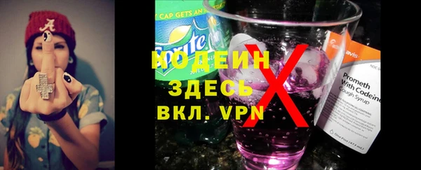 прущие грибы Осташков