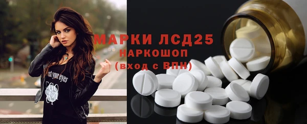 прущие грибы Осташков