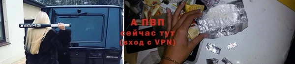 ПСИЛОЦИБИНОВЫЕ ГРИБЫ Осинники