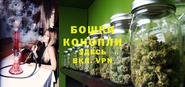 ГАЛЛЮЦИНОГЕННЫЕ ГРИБЫ Саяногорск