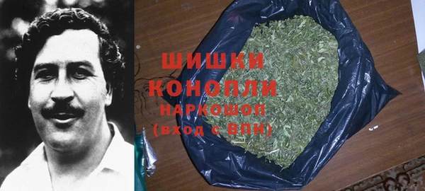ГАЛЛЮЦИНОГЕННЫЕ ГРИБЫ Саяногорск
