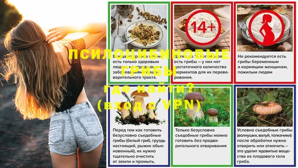 ПСИЛОЦИБИНОВЫЕ ГРИБЫ Осинники