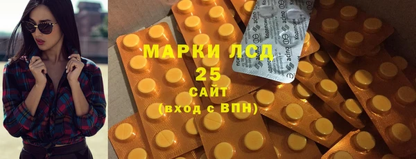 ПСИЛОЦИБИНОВЫЕ ГРИБЫ Осинники