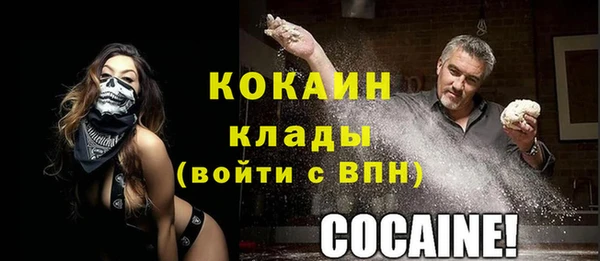 ПСИЛОЦИБИНОВЫЕ ГРИБЫ Осинники