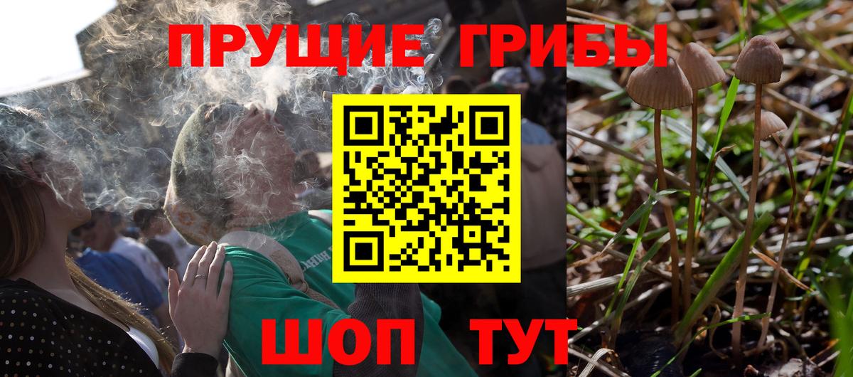 Отрадный  Галлюциногенные грибы GOLDEN TEACHER  Вход с VPN  Псилоцибиновые грибы Psilocybe 
