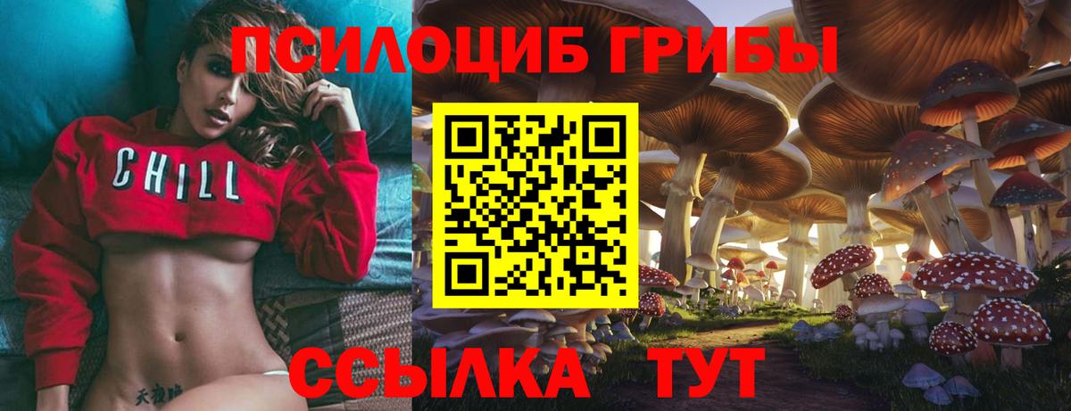 Галлюциногенные грибы Cubensis  Вход с VPN  Отрадный 