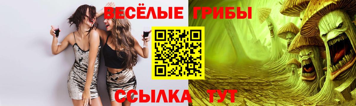 Галлюциногенные грибы Psilocybine cubensis Отрадный