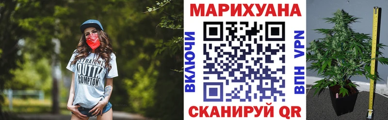 Шишки марихуана White Widow  купить наркотики цена  OMG зеркало  Отрадный 